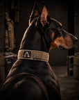 Handler Kit