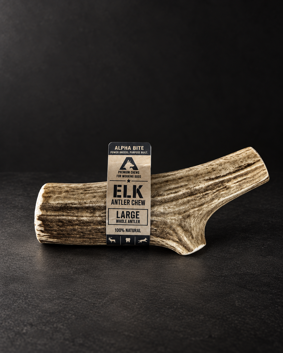 Large Whole Elk Antler