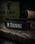 In Training Patch