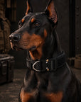 Handler Kit